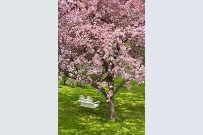 419 Lovell Lake Road, Wakefield, NH 03872 - Photo 37