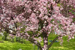 419 Lovell Lake Rd, Wakefield, NH 03872 - Photo 37