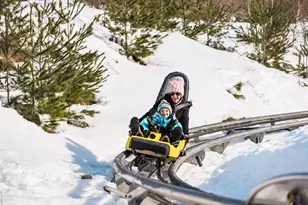 243 Skimobile Rd, Conway, NH 03860 - Photo 21