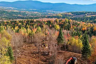 Lot 3 Holden Hill Rd, Stewartstown, NH 03576 - Photo 1