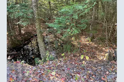 00 Mooney Hill Road, Madison, NH 03849 - Photo 3