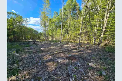 000 Garmish Drive #143, New Durham, NH 03855 - Photo 3