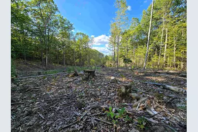 000 Garmish Drive #143, New Durham, NH 03855 - Photo 5