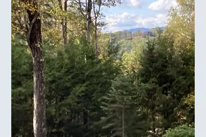 Abnaki Trail, Campton, NH 03223 - Photo 1