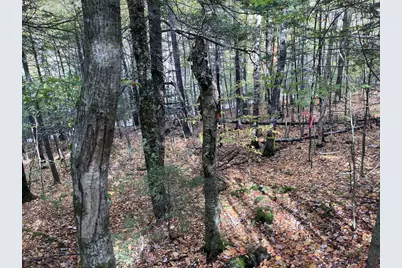 Abnaki Trail, Campton, NH 03223 - Photo 21