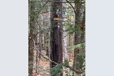 Abnaki Trail, Campton, NH 03223 - Photo 7