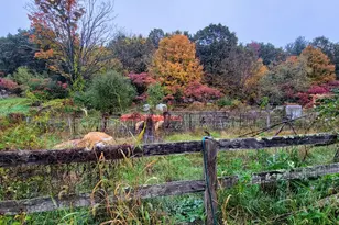 624 S Stark Hwy, Weare, NH 03281 - Photo 41