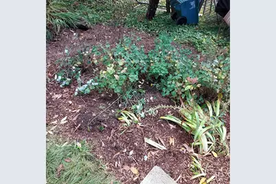 518 Western Avenue, Berlin, NH 03570 - Photo 37