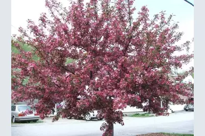 518 Western Avenue, Berlin, NH 03570 - Photo 35