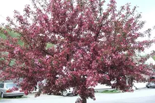 518 Western Ave, Berlin, NH 03570 - Photo 35