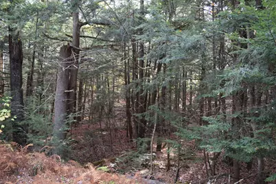Lot 185 Hanover Drive #185, Haverhill, NH 03765 - Photo 13