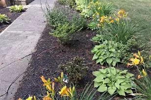 43 Maple Ave, Newton, NH 03858 - Photo 37