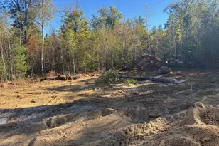 Lot 2 Chestnut Hollow, Bradford, NH 03221 - Photo 13