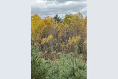 Lot 4 Catterall Road, Lisbon, NH 03585 - Photo 5