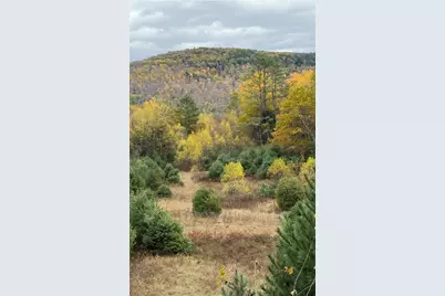 Lot 4 Catterall Road, Lisbon, NH 03585 - Photo 7