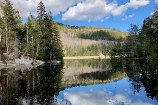 768 Doetown Rd, Rumney, NH 03266 - Photo 13