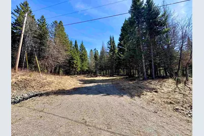 Tbd Hollow Road, Stewartstown, NH 03576 - Photo 15