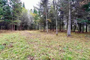 Tbd Hollow Rd, Stewartstown, NH 03576 - Photo 1