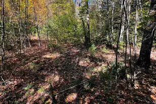 Map 408 Lot 39-1 Bullock Rd, Richmond, NH 03446 - Photo 1