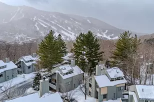 3 Big Bear Ln, Lincoln, NH 03251 - Photo 31