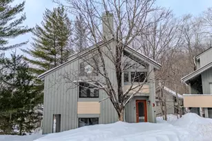 3 Big Bear Ln, Lincoln, NH 03251 - Photo 27