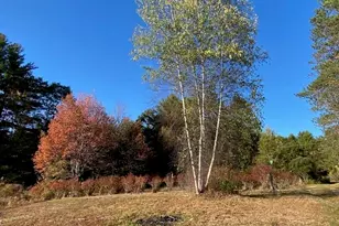 44 Pleasant View Rd, Bradford, NH 03221 - Photo 19