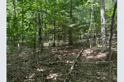 Map 10 Lots 154,155,156 New Hampshire Drive, Webster, NH 03303 - Photo 1