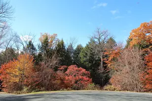 219 Wildlife Rd, Hartford, VT 05001 - Photo 35