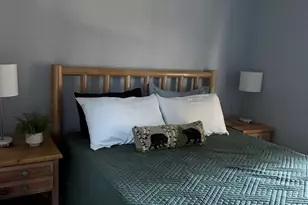 27 Shadow Land Rd, Alstead, NH 03602 - Photo 15