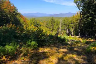 443 Greeley Rd, Conway, NH 03813 - Photo 45