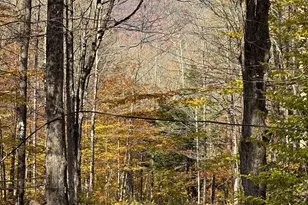 1928 Vt Route 131, Weathersfield, VT 05156 - Photo 13