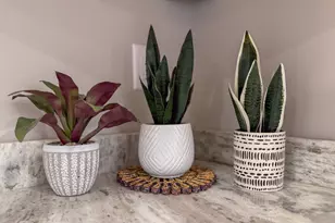 527 NW Rd, Canterbury, NH 03224 - Photo 7