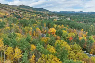 72 Cranmore Woods Ln, Conway, NH 03818 - Photo 57