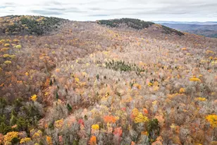 00 Orange Rd, Alexandria, NH 03222 - Photo 1