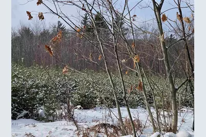 47 Highbridge Road, Lyme, NH 03768 - Photo 21