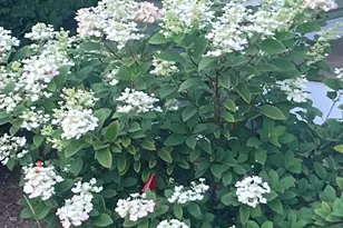 13 Westridge Dr, Peterborough, NH 03458 - Photo 57