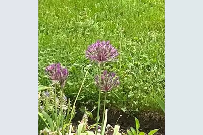 13 Westridge Drive #13, Peterborough, NH 03458 - Photo 53