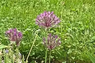 13 Westridge Dr, Peterborough, NH 03458 - Photo 53