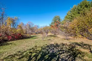 49 Deer Hill Rd, Tamworth, NH 03817 - Photo 49