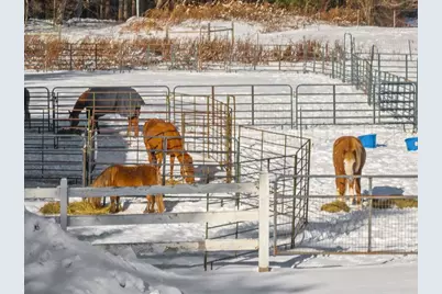 337 Middle Road, Brentwood, NH 03833 - Photo 51