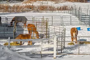 337 Middle Rd, Brentwood, NH 03833 - Photo 51