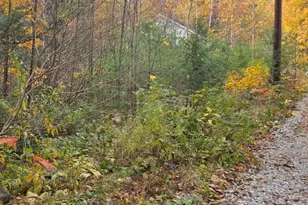 44 Huntington Dr, Hillsboro, NH 03244 - Photo 1