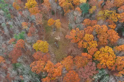 Lake Road, Brentwood, NH 03833 - Photo 5