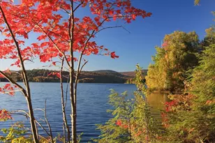 38 Terrace View, Grantham, NH 03753 - Photo 3