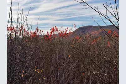 Tbd McIntyre Road #7, Dalton, NH 03598 - Photo 13
