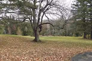 390 Hill Rd, Dummer, NH 03588 - Photo 29