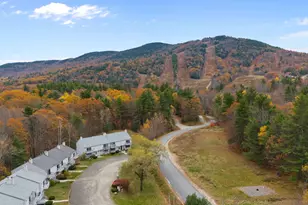 69 Birch Glen Dr, Bennington, NH 03442 - Photo 39