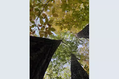 0 Oak Ridge Road, Plymouth, NH 03264 - Photo 13