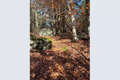 Lot 77-7 East Washington Road, Washington, NH 03280 - Photo 1