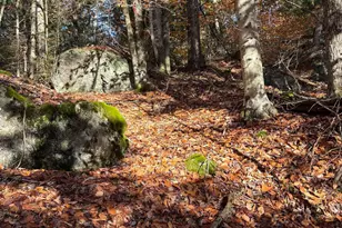 Lot 77-7 East Washington Rd, Washington, NH 03280 - Photo 1